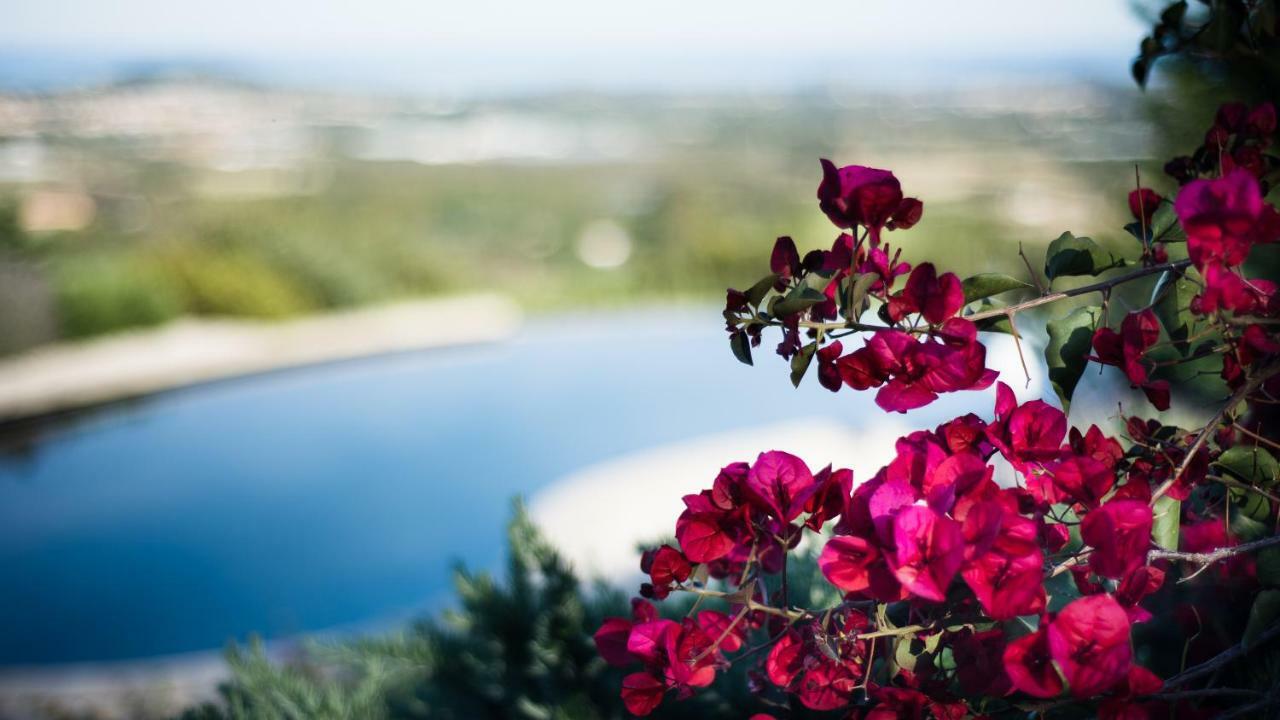 Bed and Breakfast Le Tre Civette - Residenza Di Campagna Вилла-Сан-Пьетро Экстерьер фото